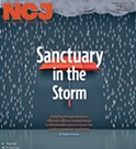 Sanctuary in the Storm